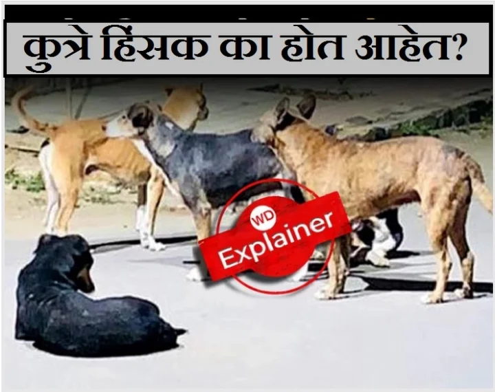 Dog bite case in India