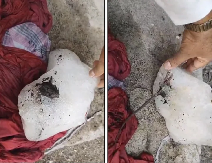 Dead rat found in ice in Junnar