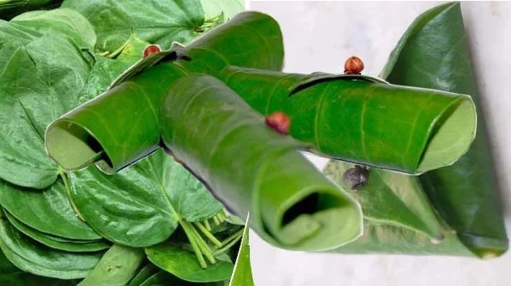 Paan