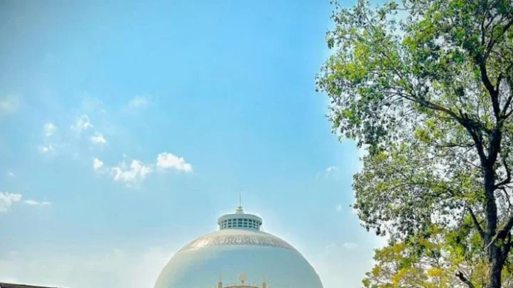 Dhammachakra Pravartan Din 2024: धम्मचक्र प्रवर्तन दिन का साजरा केला जातो? इतिहास आणि महत्तव जाणून घ्या
