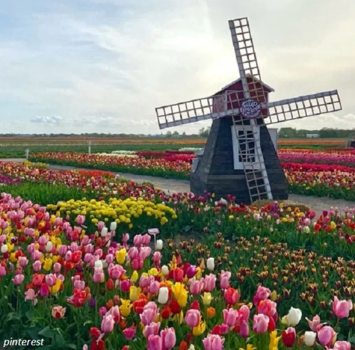 Netherlands