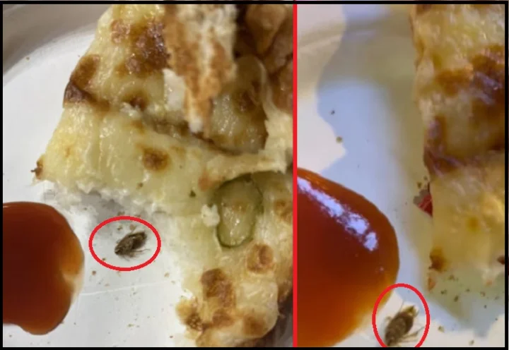 Cockroach in Bread Pakoda in Jaipur Airport