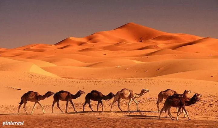 Sahara Desert Africa