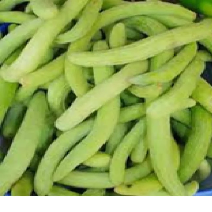 Kakadi