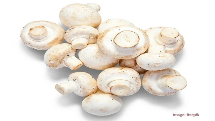 mashrooms