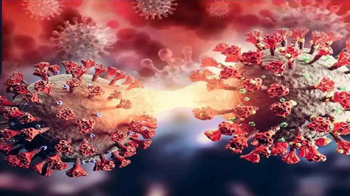 H3N2 Virus Alert: येथे H3N2 फ्लूची दहशत! या विषाणूची लक्षणे आणि प्रतिबंध जाणून घ्या