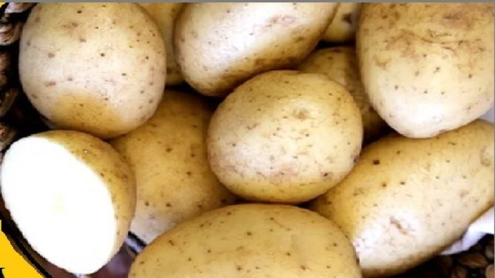 boiled potato