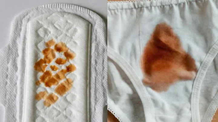 Brown Period Blood मासिक पाळी दरम्यान तपकिरी स्त्राव का येतो? कारणे, प्रकार आणि उपचार जाणून घ्या