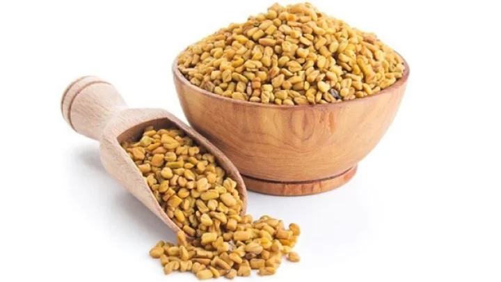 Fenugreek