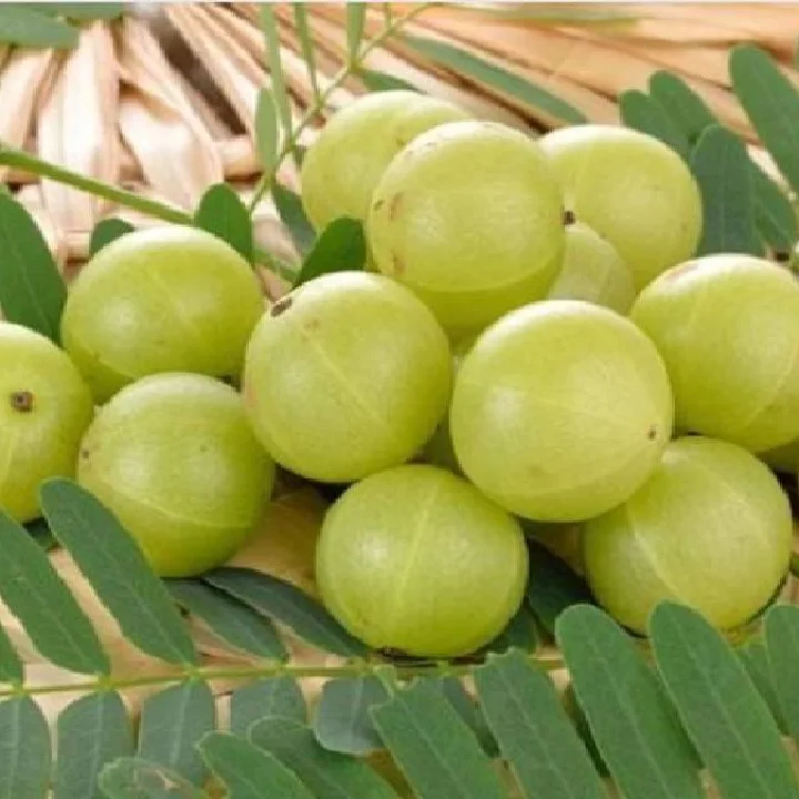 Benefits of eating amla