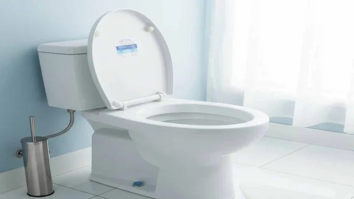 जागतिक शौचालय दिन २०२५