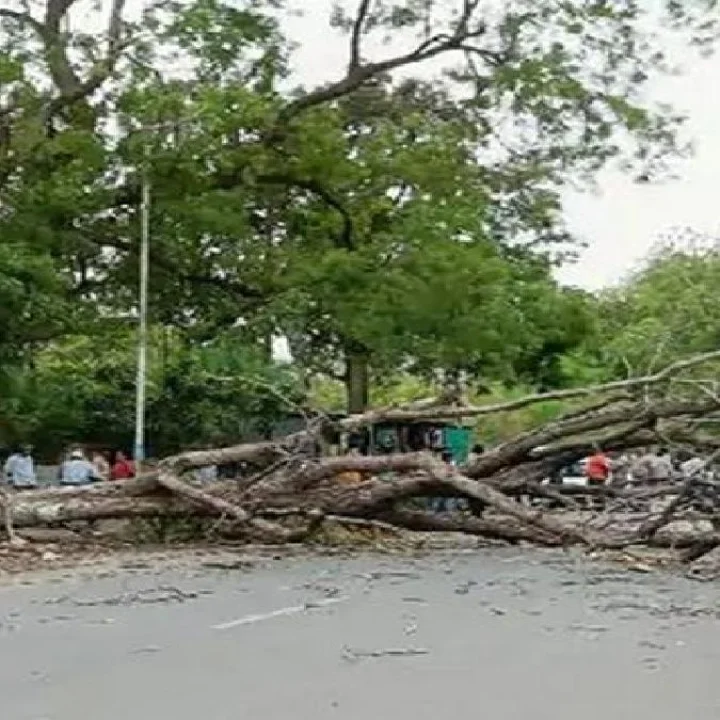 Nashik Sadhu Village dispute