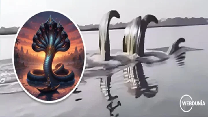 Video यमुना नदीत कालिया नाग दिसला? सोशल मीडियावर व्हायरल झालेल्या दाव्यामागील संपूर्ण सत्य जाणून घ्या