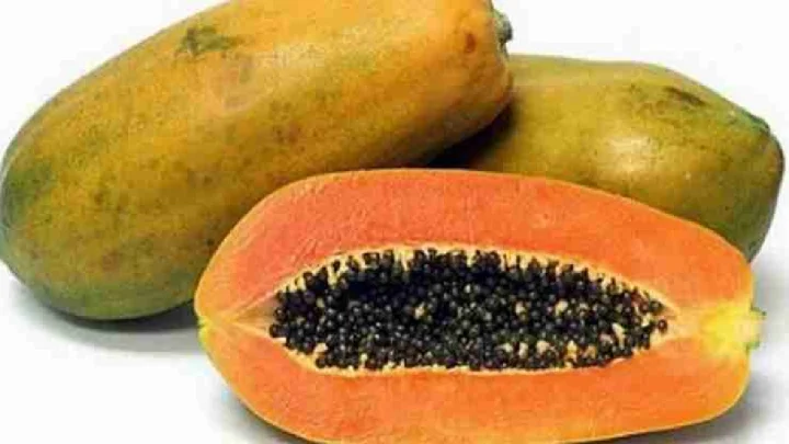 benefits of eating papaya
