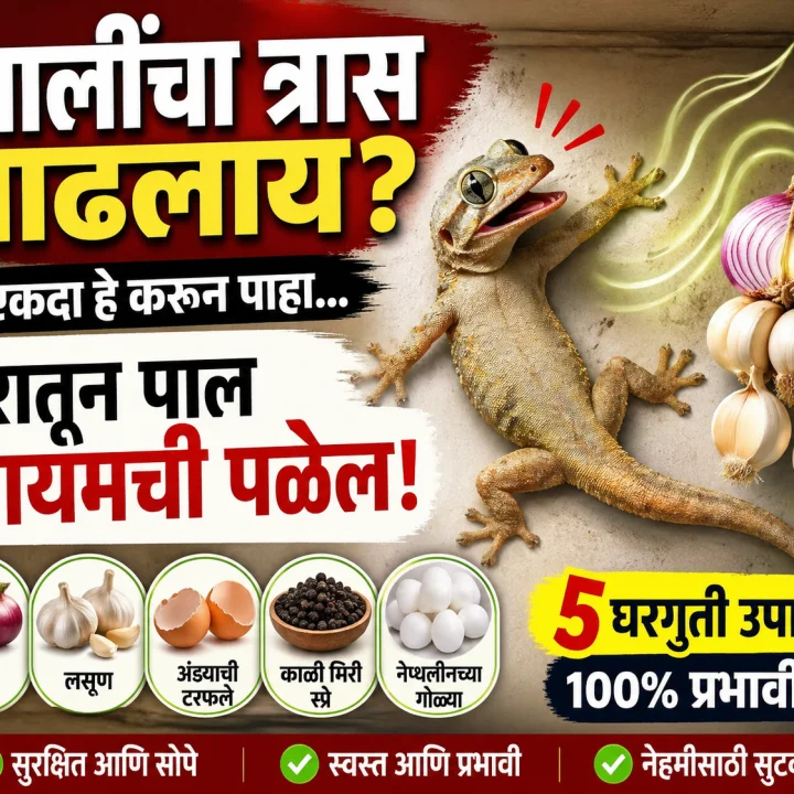 Home Remedies to Get Rid of Lizards