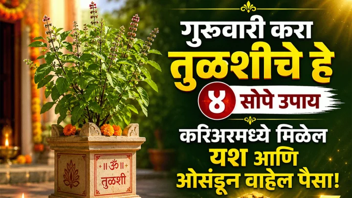 आर्थिक चणचण दूर होणार! गुरुवारी करा तुळशीचे ४ सोपे तोडगे