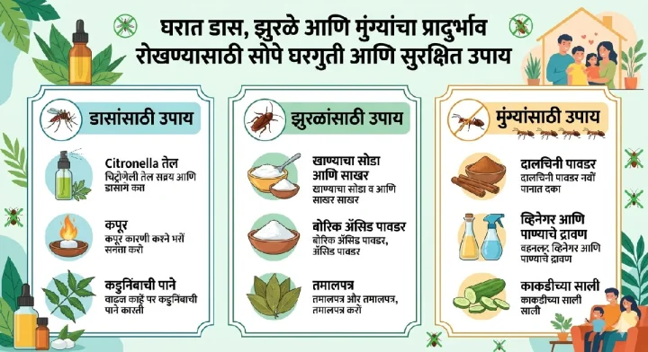 सोप्या घरगुती टिप्स: घरात कीटक नियंत्रण (Pest Control) कसे करावे ?