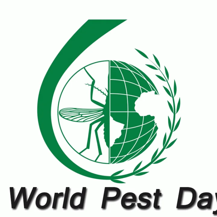 World Insect Awareness Day