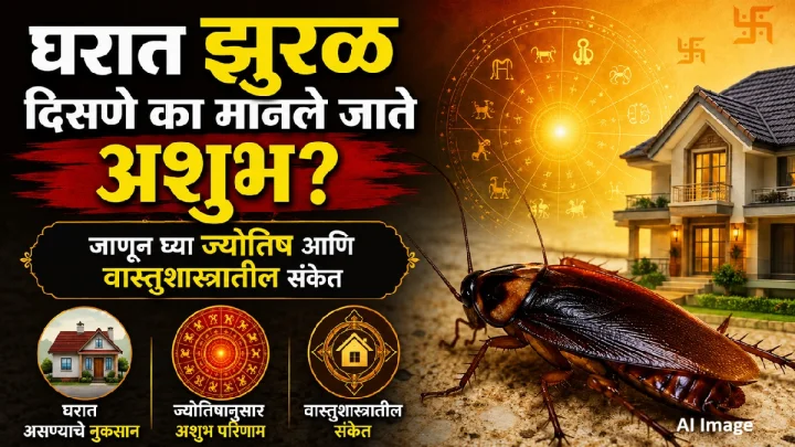 cockroaches