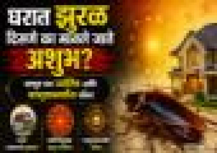 घरात झुरळ दिसणे अशुभ का मानले जाते? ज्योतिष आणि वास्तु संकेता बद्दल जाणून घ्या