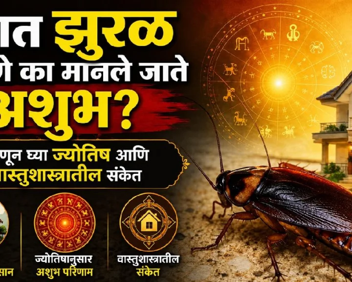 cockroaches