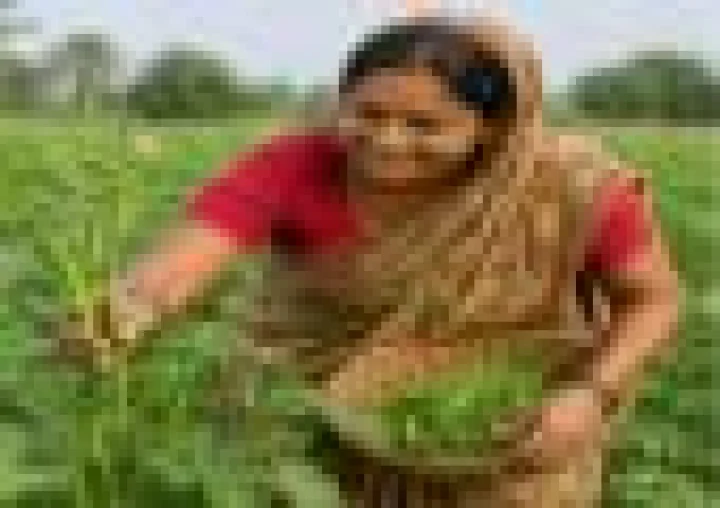 महाराष्ट्र विधानसभेने महिला शेतकरी सक्षमीकरण विधेयक २०२६ मंजूर करून इतिहास रचला