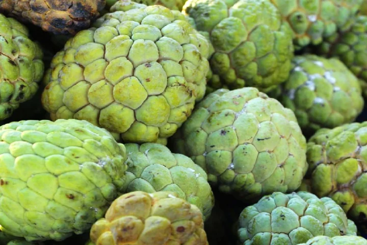 Benefits of custard apple
