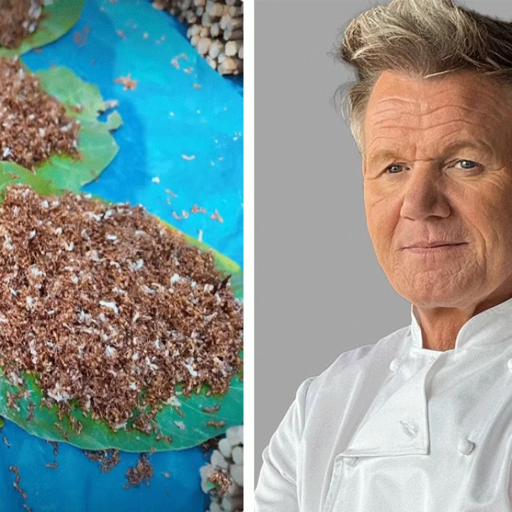 World-renowned chef Gordon Ramsay savors Jharkhand's Red Ant Chutney