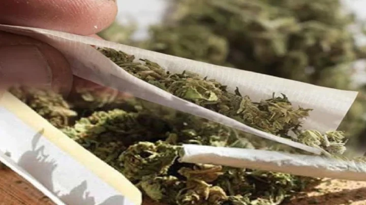 ganja
