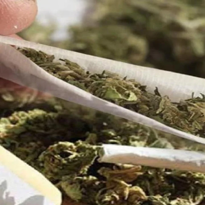 ganja