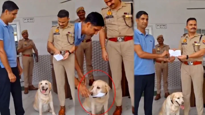 पोलिसांच्या मेरी नावाच्या श्वानाने अंधांवरील बलात्काराचे प्रकरण उघडकीस आणले, १०,००० रुपयांचे बक्षीस जाहीर
