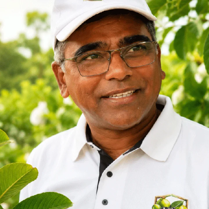 AI has transformed agriculture
