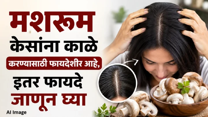 मशरूम केसांना काळे करण्यासाठी फायदेशीर आहे, इतर फायदे जाणून घ्या