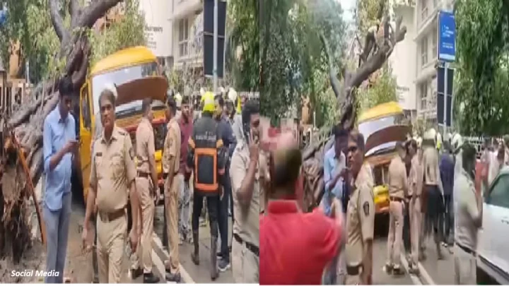 मुंबईतील चेंबूरमध्ये विद्यार्थ्यांना घेऊन जाणाऱ्या स्कूल व्हॅनवर मोठे झाड कोसळले