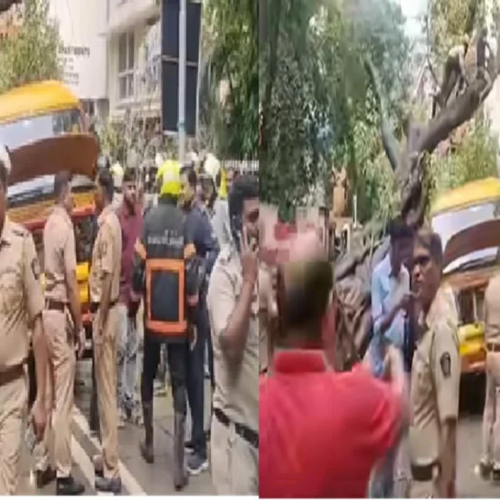 मुंबईत चेंबूरमध्ये स्कूल बसवर झाड कोसळून ११ वर्षीय विद्यार्थ्याचा मृत्यू