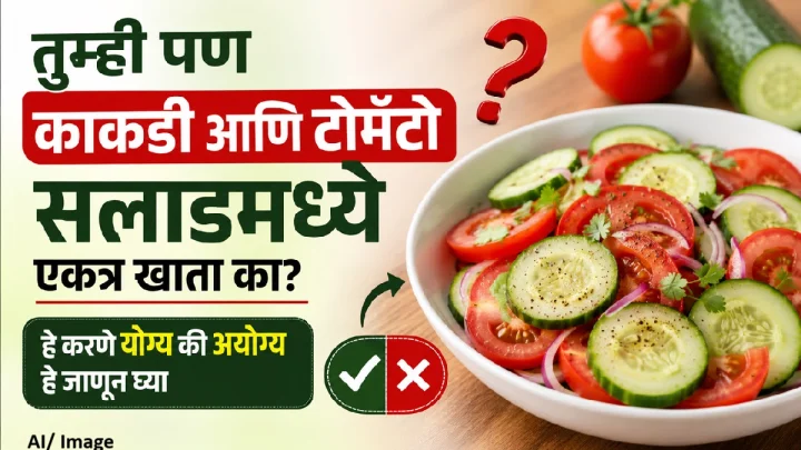 काकडी आणि टोमॅटो एकत्र खाल्ल्याने खरंच नुकसान होते का? तज्ज्ञ काय सांगतात
