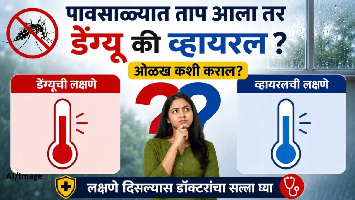 पावसाळ्यात ताप आला तर डेंग्यू की व्हायरल? ओळख कशी कराल?