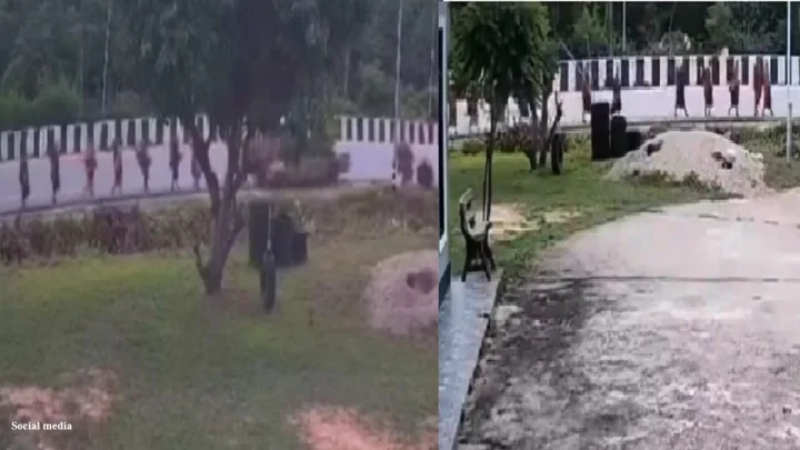 थायलंडच्या ईशान्य भागात भीषण अपघात 9 बौद्ध भिक्षूंचा मृत्यू