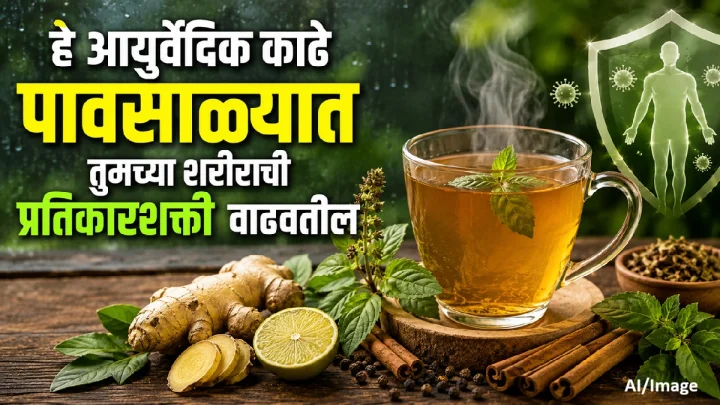 हे आयुर्वेदिक काढे पावसाळ्यात तुमच्या शरीराची प्रतिकारशक्ती वाढवतील