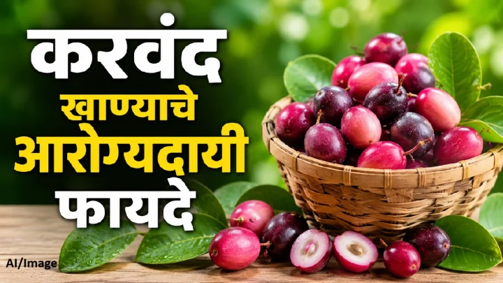करवंद खा आणि राहा निरोगी! जाणून घ्या करवंदाचे जबरदस्त आरोग्यदायी फायदे