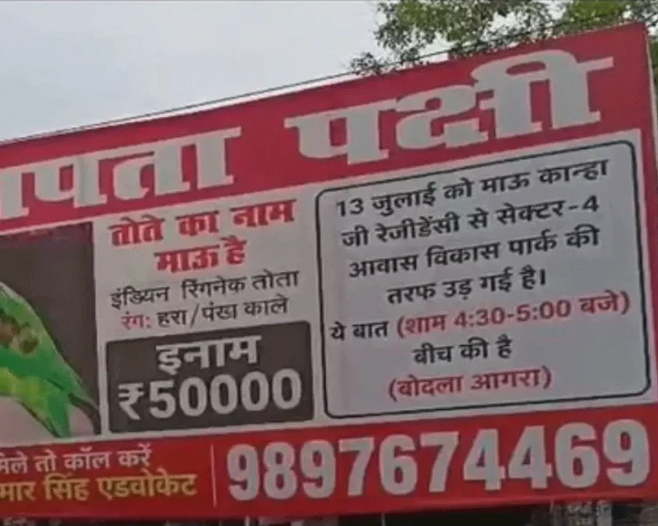 reward of 50 thousand rupees for finding pet parrot of a lawyer in Agra
