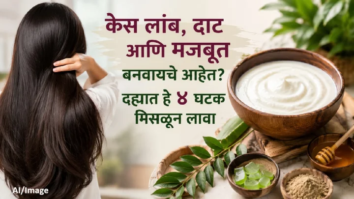 Hair Care Tips: दह्यात हे ४ पदार्थ मिसळून लावा, केस होतील लांब, दाट आणि मजबूत