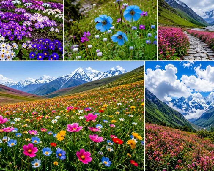 Valley of Flowers