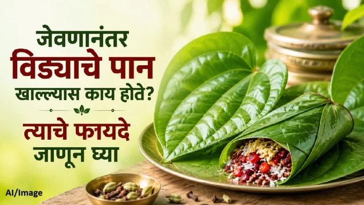 दररोज जेवणानंतर विड्याचे पान खाल्ल्यास काय होते? जाणून घ्या तज्ज्ञांचे मत