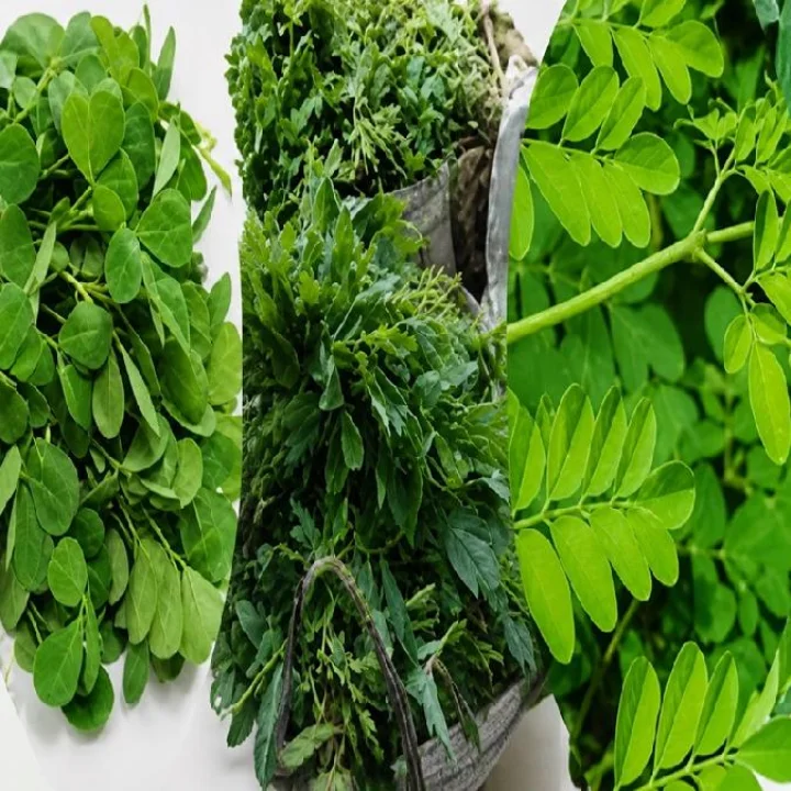 Leafy vegetables