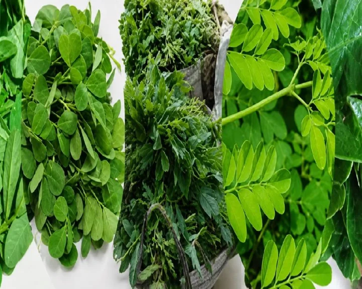 Leafy vegetables