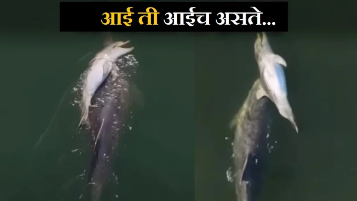 viral video