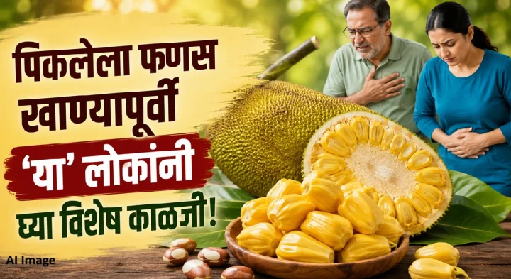 पिकलेला फणस खाण्यापूर्वी ‘या’ लोकांनी घ्या विशेष काळजी! योग्य पद्धत आणि महत्त्वाच्या गोष्टी जाणून घ्या
