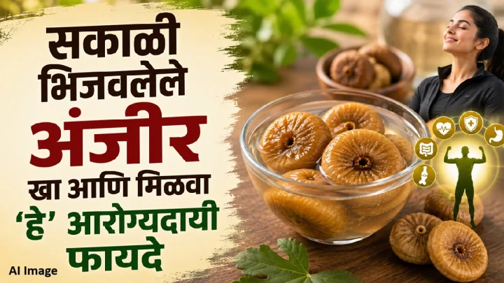सकाळी भिजवलेले अंजीर खा आणि मिळवा ‘हे’ आरोग्यदायी फायदे; योग्य पद्धत जाणून घ्या