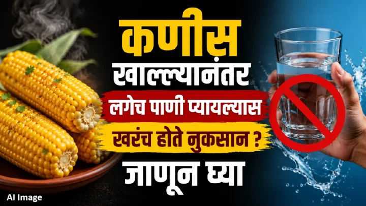 कणीस खाल्ल्यानंतर लगेच पाणी प्यायल्यास खरंच होते नुकसान? जाणून घ्या यामागचं सत्य!